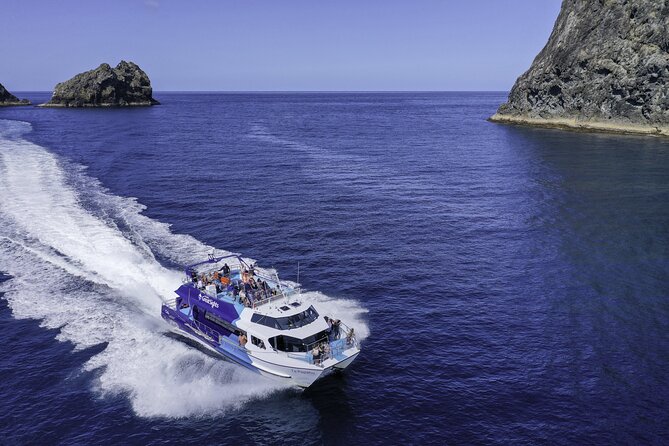 The Original Full day Bay of Islands Cruise with Dolphins