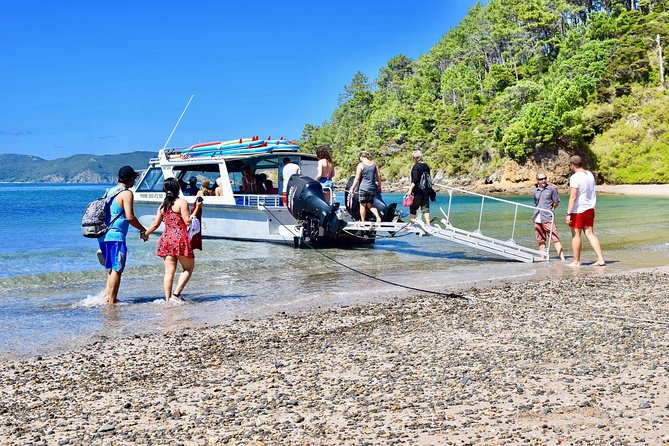 Day Cruise & Island Tour – Snorkel/Wildlife/Paddleboard/Islands