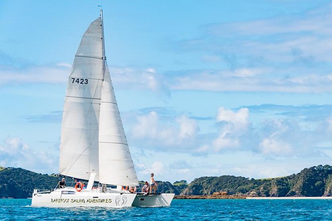Island Hopper Day Cruise – sailing to wildlife sanctuary island – 6 hr cruise