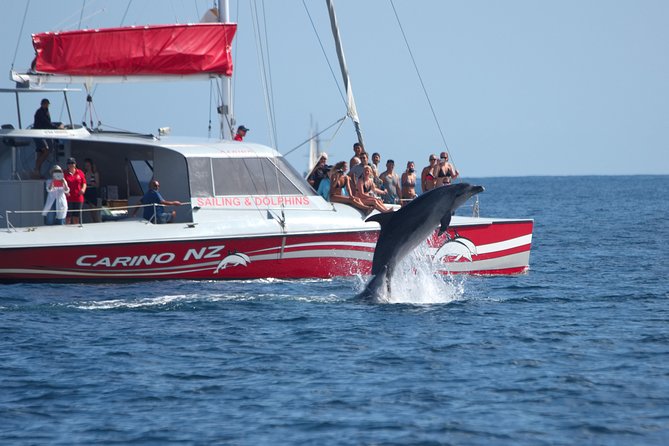 Carino Wildlife Cruises – Island and Wildlife Day Cruise