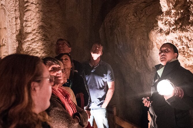 Glow Worm Caves and Waterfall in Bay of Islands Express Tour